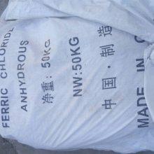 2004浙江高考满分作文：感动，点一瓣心香_900字