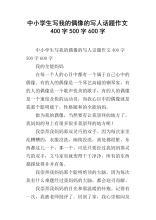 我的偶像-写人的作文500字