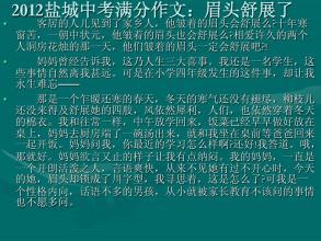 2012盐城中考满分作文：眉头舒展了_1200字