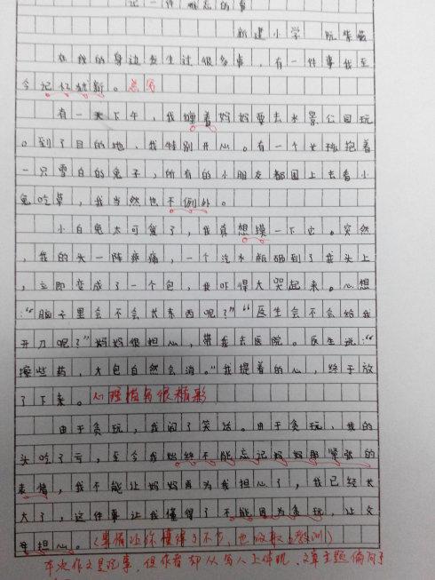 初二状物作文：家门口的老槐树_700字