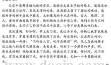 初二说明作文：家乡的花灯节_550字