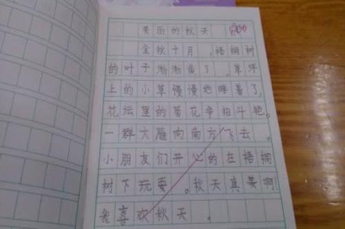 看不透的世界作文