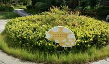 四年级写景作文，迷人的小花坛