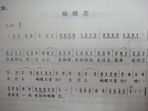 初二小说：蝴蝶花开_800字