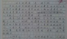 2012泉州中考满分作文：如果没有他们_900字