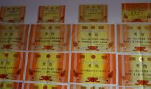 初中优秀作文：在竞争中成长