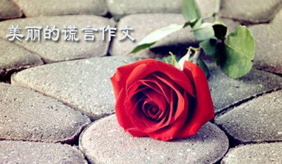 小谎言的大代价的故事