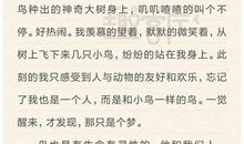 思维训练课的收获与启示 我的收获与启示作文700字