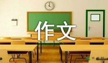 他的眼神作文650字
