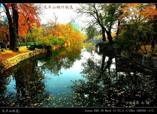 美丽的天平山_500字