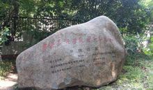 游西湖 四年级旅游作文300字