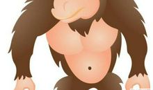 大猩猩的作文450字