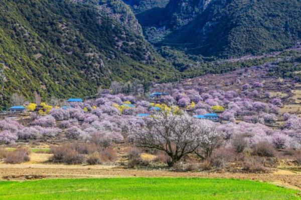 东野圭吾《时生》读后感：作为我们的孩子，你觉得高兴吗？ 2