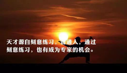《刻意练习》读后感——“天才”源于练习 1