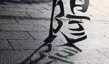 初一小说：影子修补师_400字