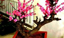 高三学生毕业前写作文谢师恩——我的小学班主任