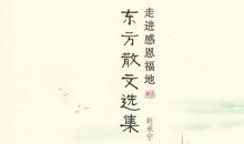 初一抒情散文：曾经，亏欠的时光_600字