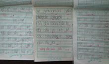 初二日记：日记DD小鱼仙馆_650字