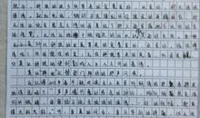 关于体育课的小学作文范文8篇