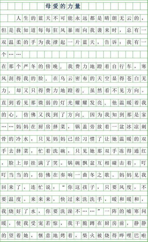 母爱的力量初中优秀作文
