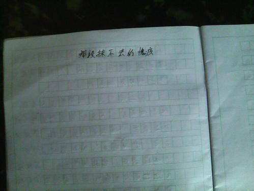 抹不去的回忆作文三篇