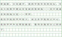 2019初二期末作文：草坪上那道美丽的彩虹_350字