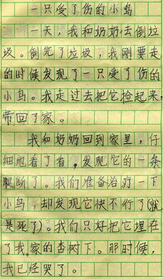 小鸟求救 救助小鸟300字作文