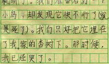 小鸟求救 救助小鸟300字作文