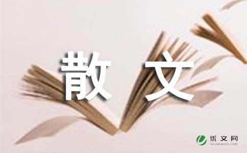 向着目的地出发散文