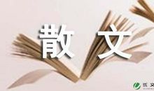 向着目的地出发散文