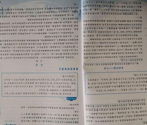 四年级我的乐园作文500字