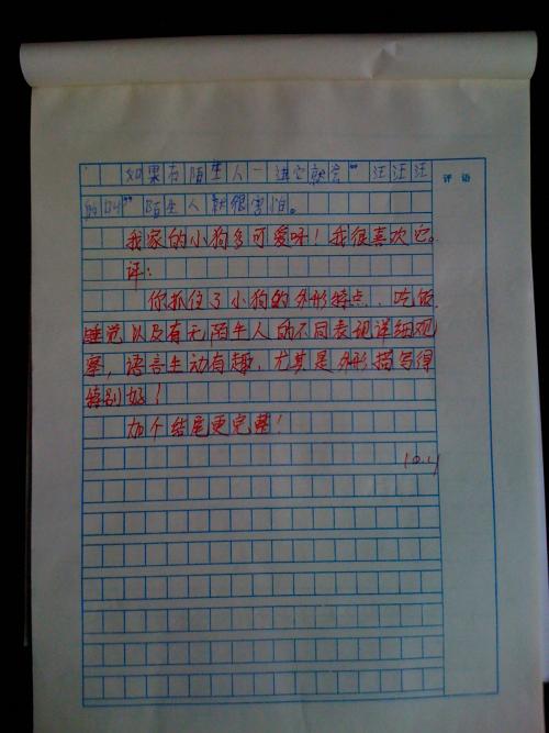 初一日记作文：我的暑假生活_550字