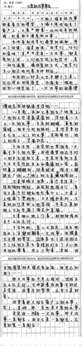 2012武汉中考满发作文：敬畏文字_500字