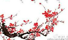 2019初二期末作文：花自飘零水自流_1500字