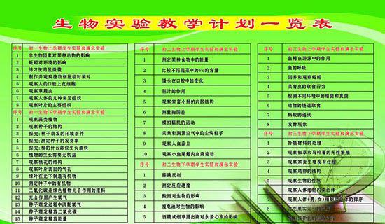 教学实践心得体会