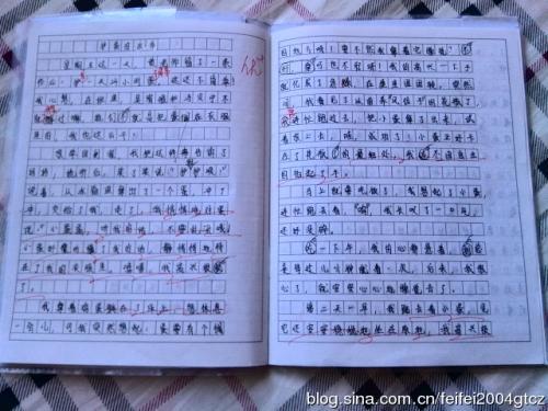 护蛋故事-特殊的作业作文600字