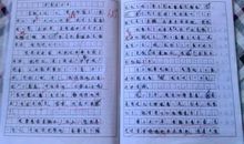 护蛋故事-特殊的作业作文600字