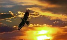 高中生优秀作文：时代的征程