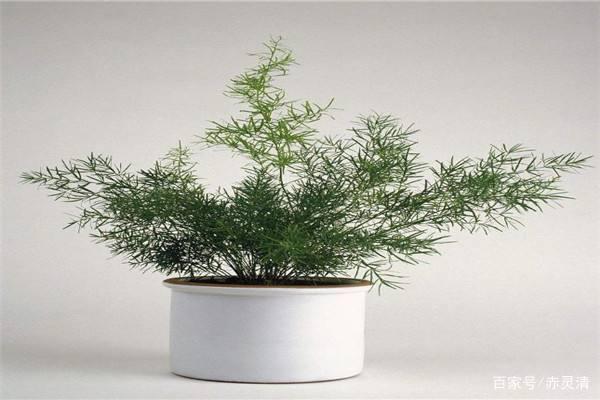 中学生作文专题训练:话题作文课堂范文