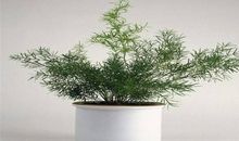 中学生作文专题训练：话题作文课堂范文