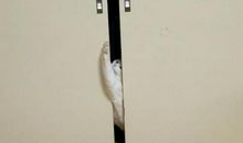 门缝里的香烟头作文