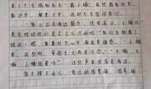 2011年湖南高考作文优秀作文赏析(4)_800字