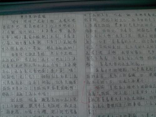 心暖，何惧寒冬 初三作文900字