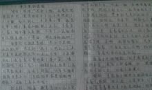 心暖，何惧寒冬 初三作文900字