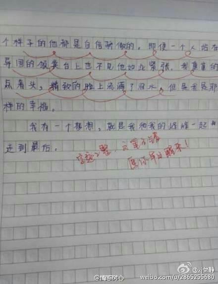 心愿 初二作文700字