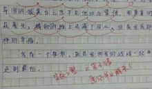 心愿 初二作文700字