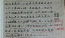 猫和狗的大战-小学生写事作文350字