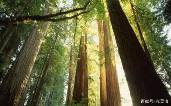 中学生作文专题训练:话题作文课堂范文 3