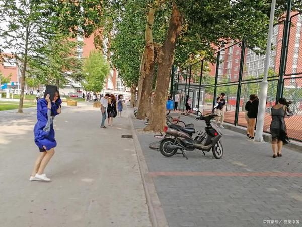 2020北京海淀初三一模作文解读:疾风知劲草,可谓本年度最佳命题 2