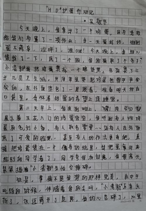 护蛋进行时-记一次护蛋行动作文1000字
